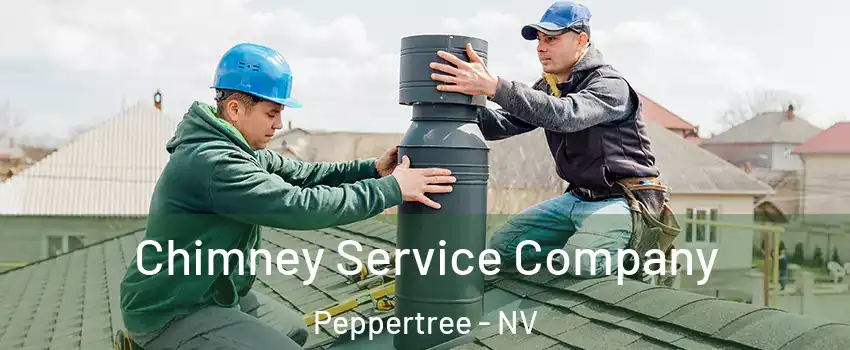 Chimney Service Company Peppertree - NV