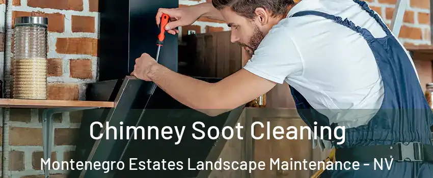 Chimney Soot Cleaning Montenegro Estates Landscape Maintenance - NV