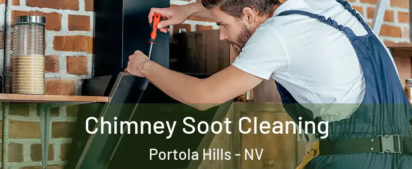 Chimney Soot Cleaning Portola Hills - NV