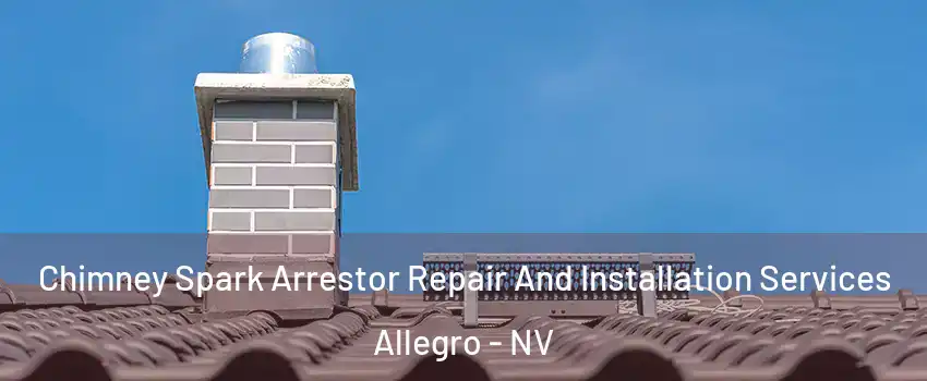 Chimney Spark Arrestor Repair And Installation Services Allegro - NV