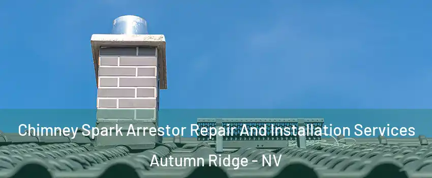 Chimney Spark Arrestor Repair And Installation Services Autumn Ridge - NV