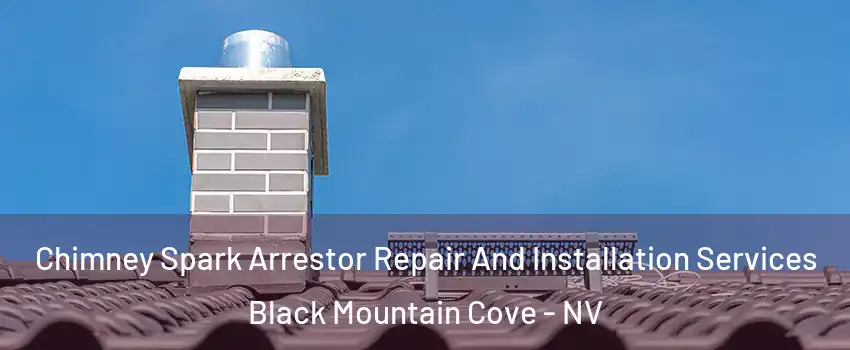 Chimney Spark Arrestor Repair And Installation Services Black Mountain Cove - NV