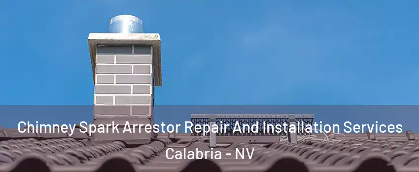 Chimney Spark Arrestor Repair And Installation Services Calabria - NV