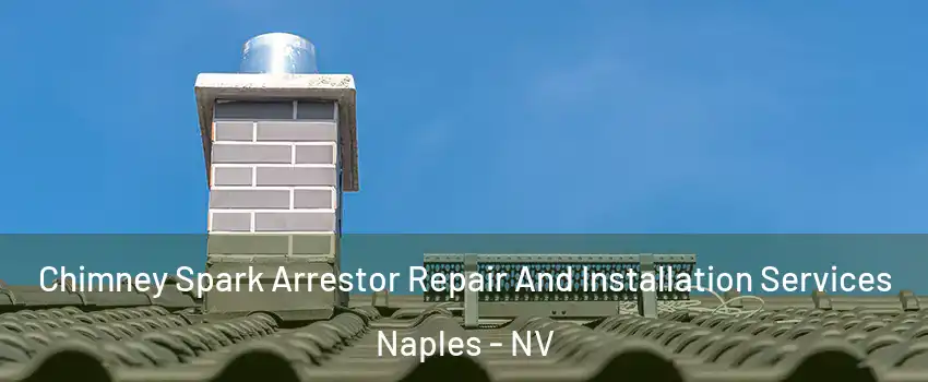 Chimney Spark Arrestor Repair And Installation Services Naples - NV