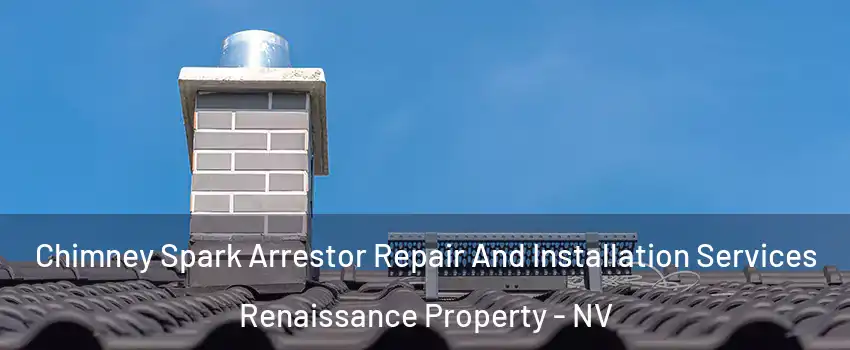 Chimney Spark Arrestor Repair And Installation Services Renaissance Property - NV