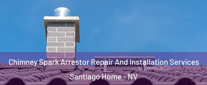 Chimney Spark Arrestor Repair And Installation Services Santiago Home - NV