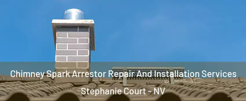 Chimney Spark Arrestor Repair And Installation Services Stephanie Court - NV