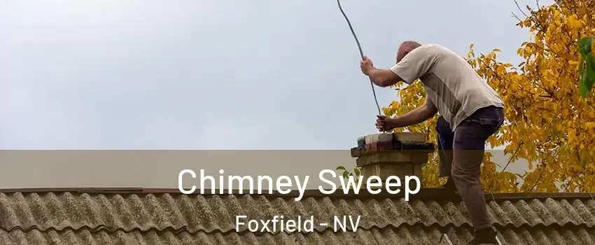 Chimney Sweep Foxfield - NV