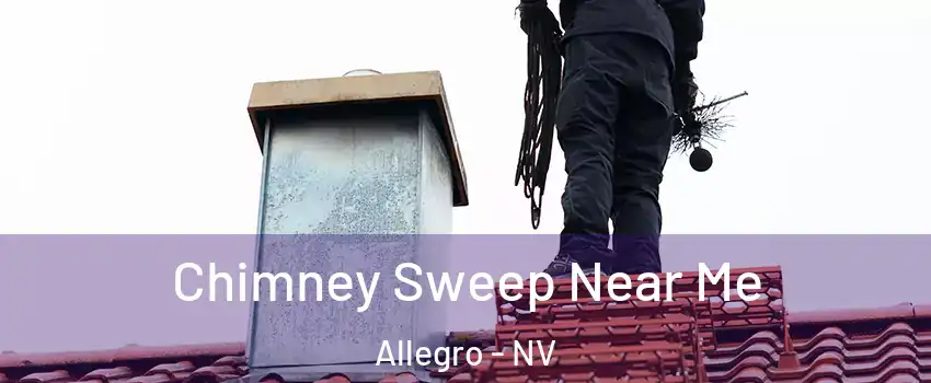 Chimney Sweep Near Me Allegro - NV