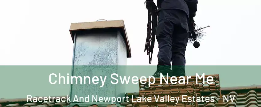 Chimney Sweep Near Me Racetrack And Newport Lake Valley Estates - NV