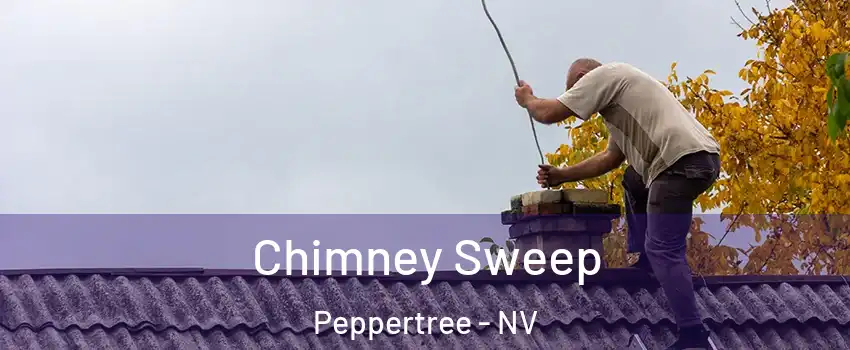 Chimney Sweep Peppertree - NV