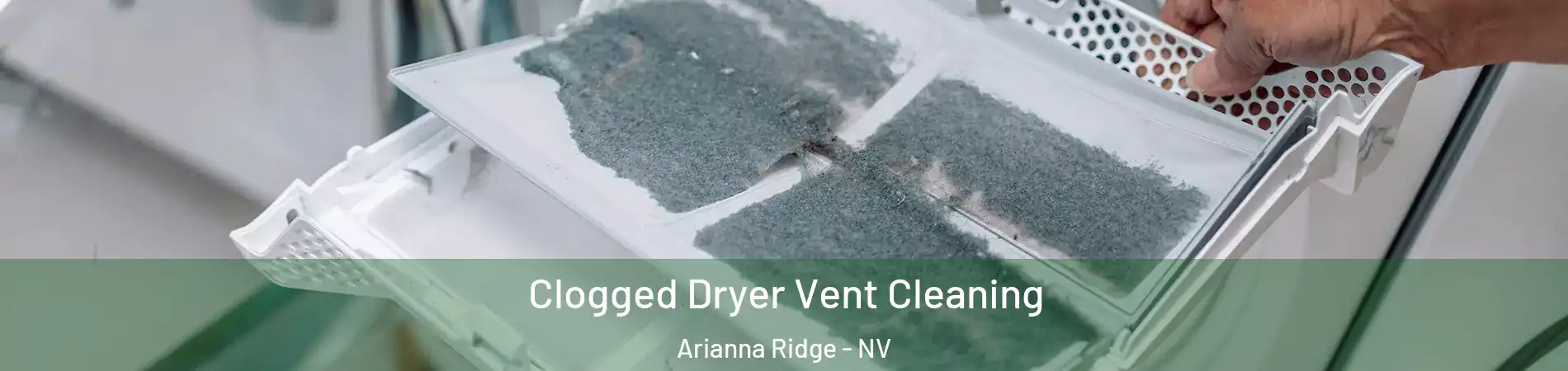 Clogged Dryer Vent Cleaning Arianna Ridge - NV