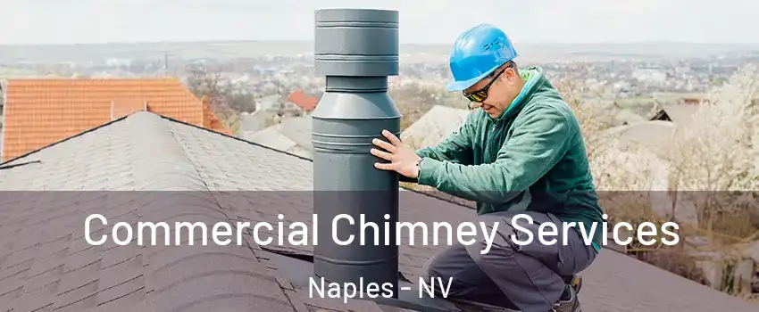 Commercial Chimney Services Naples - NV