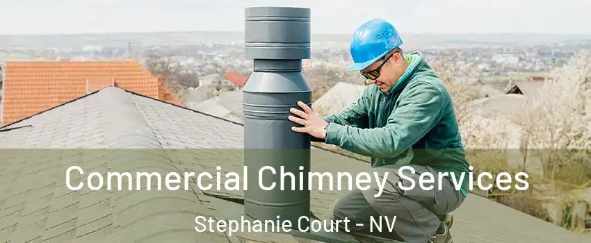 Commercial Chimney Services Stephanie Court - NV