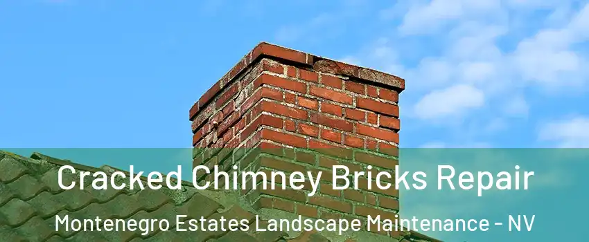 Cracked Chimney Bricks Repair Montenegro Estates Landscape Maintenance - NV