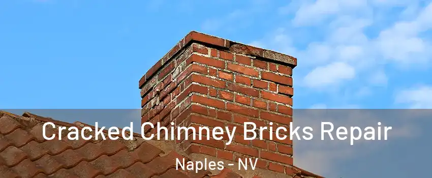 Cracked Chimney Bricks Repair Naples - NV