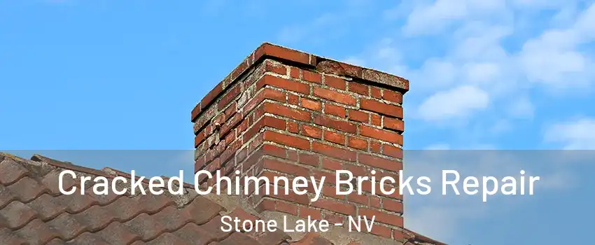 Cracked Chimney Bricks Repair Stone Lake - NV