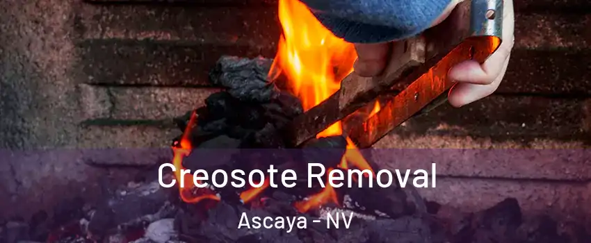 Creosote Removal Ascaya - NV