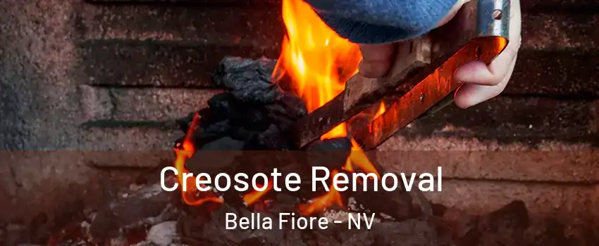 Creosote Removal Bella Fiore - NV