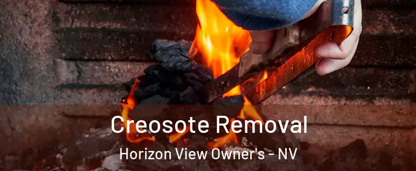 Creosote Removal Horizon View Owner's - NV