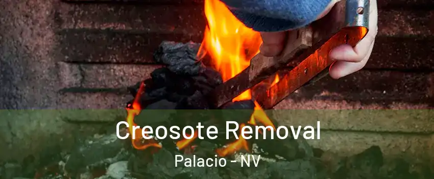 Creosote Removal Palacio - NV