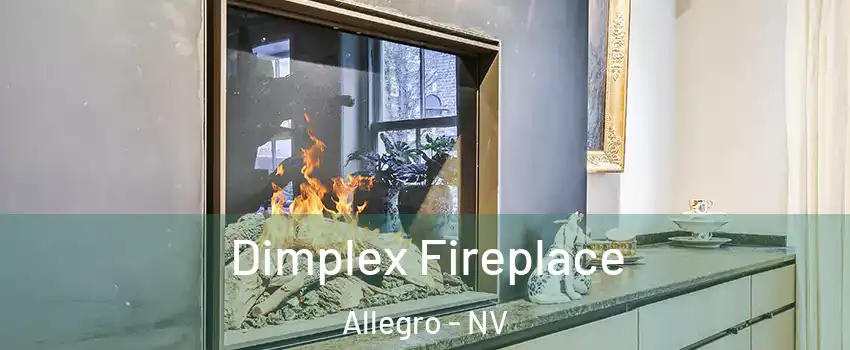 Dimplex Fireplace Allegro - NV