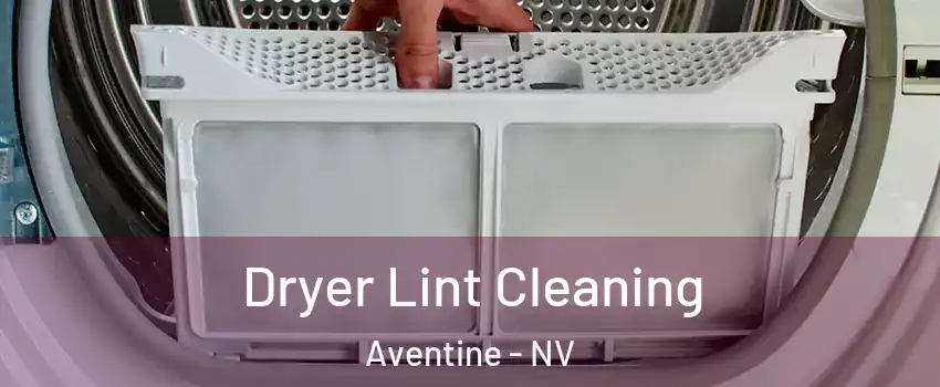 Dryer Lint Cleaning Aventine - NV