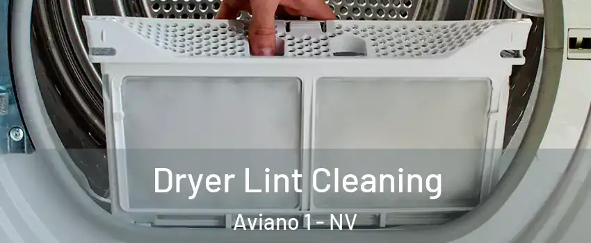 Dryer Lint Cleaning Aviano 1 - NV