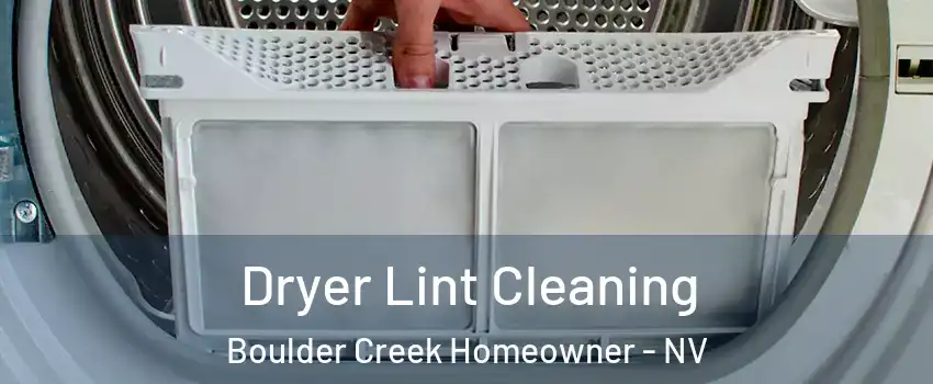 Dryer Lint Cleaning Boulder Creek Homeowner - NV