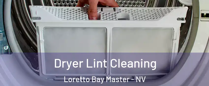 Dryer Lint Cleaning Loretto Bay Master - NV