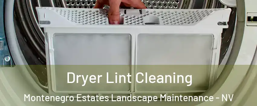 Dryer Lint Cleaning Montenegro Estates Landscape Maintenance - NV