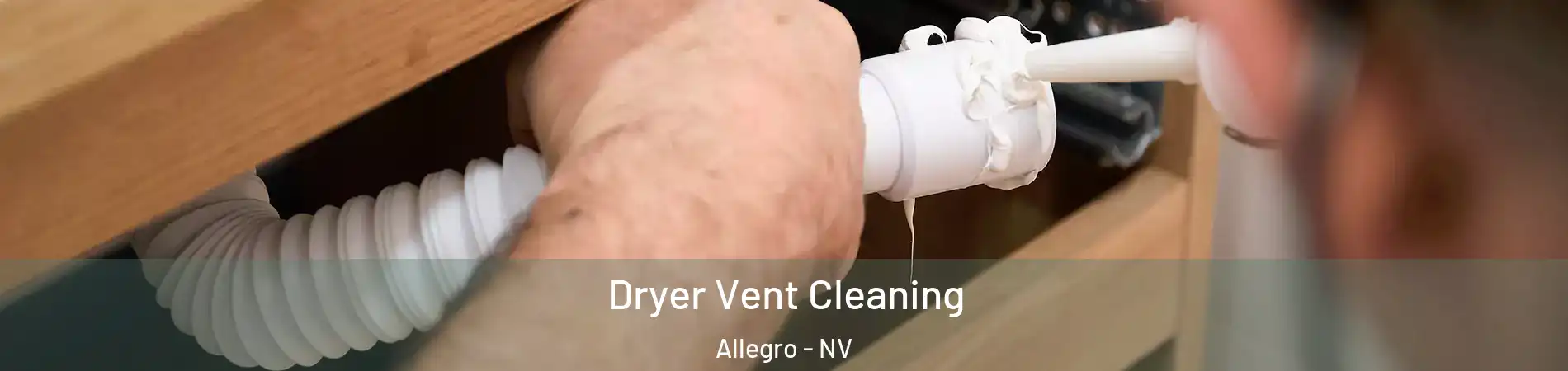 Dryer Vent Cleaning Allegro - NV