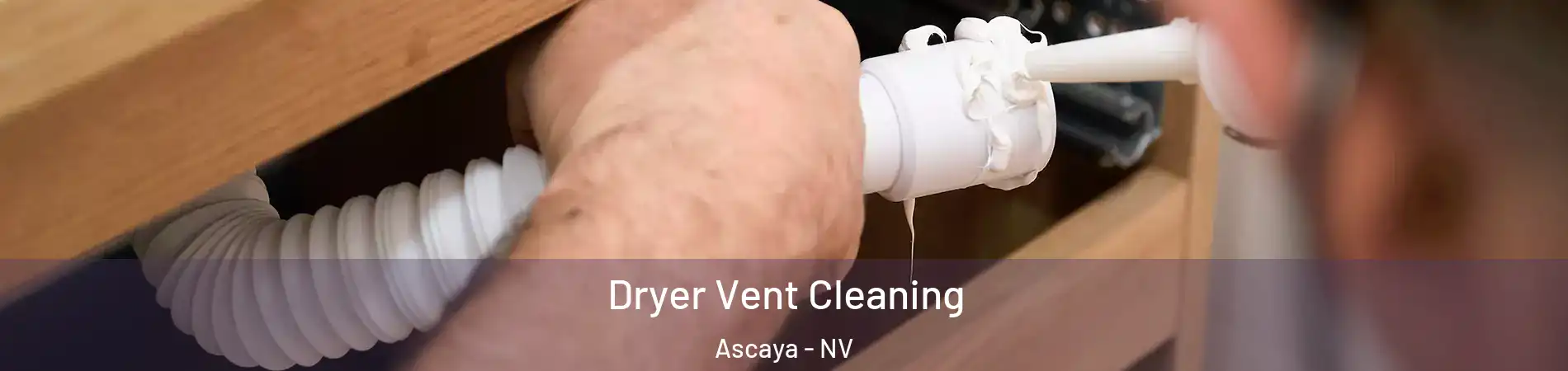 Dryer Vent Cleaning Ascaya - NV