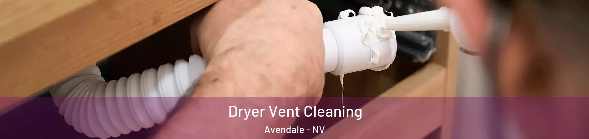 Dryer Vent Cleaning Avendale - NV