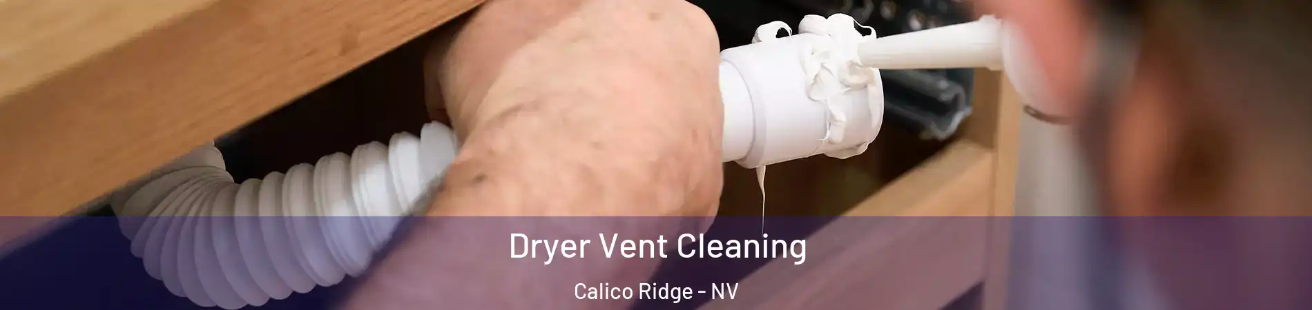 Dryer Vent Cleaning Calico Ridge - NV