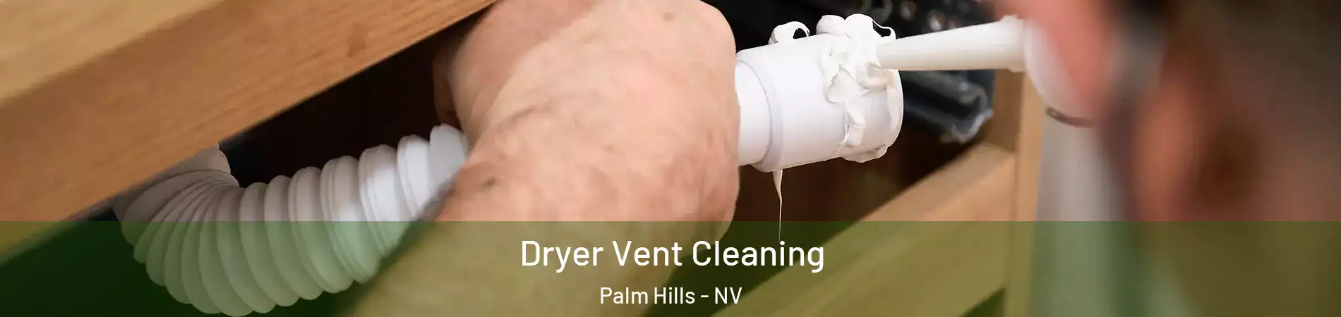 Dryer Vent Cleaning Palm Hills - NV