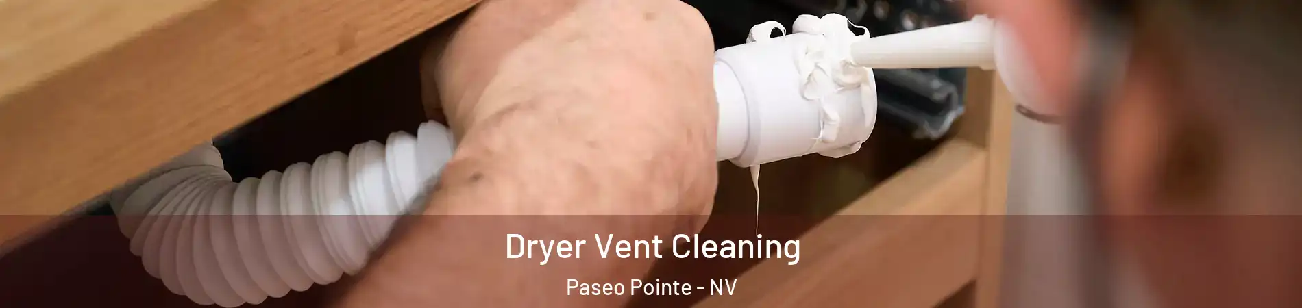 Dryer Vent Cleaning Paseo Pointe - NV