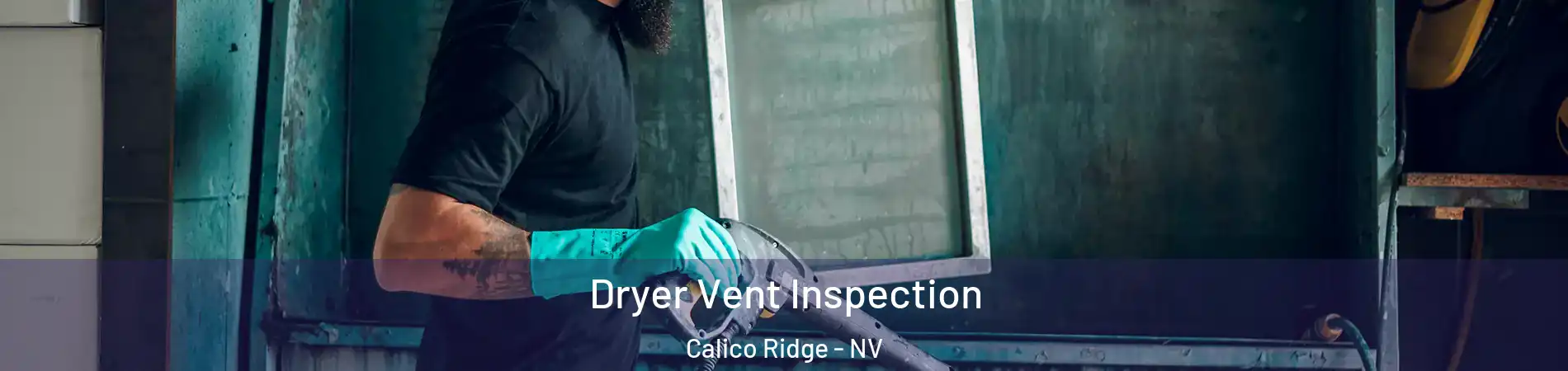 Dryer Vent Inspection Calico Ridge - NV