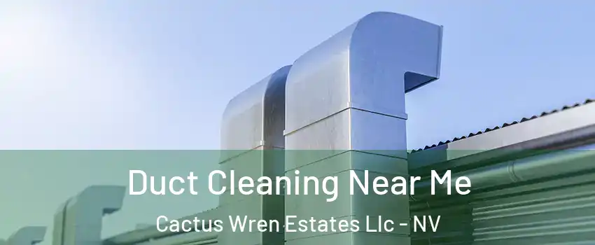 Duct Cleaning Near Me Cactus Wren Estates Llc - NV