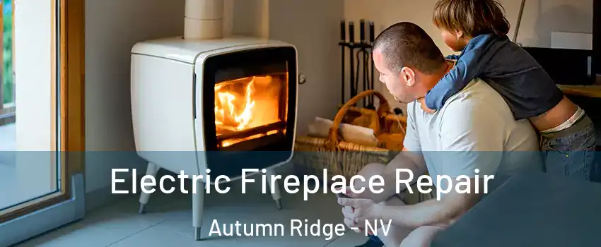 Electric Fireplace Repair Autumn Ridge - NV