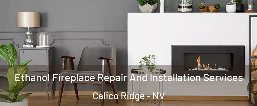 Ethanol Fireplace Repair And Installation Services Calico Ridge - NV