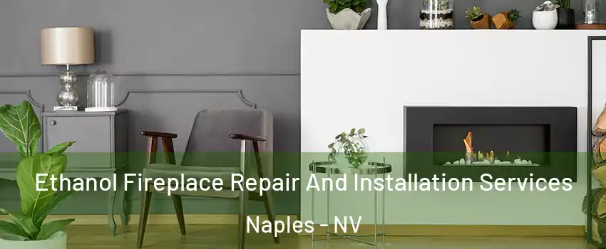 Ethanol Fireplace Repair And Installation Services Naples - NV