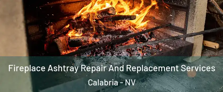 Fireplace Ashtray Repair And Replacement Services Calabria - NV