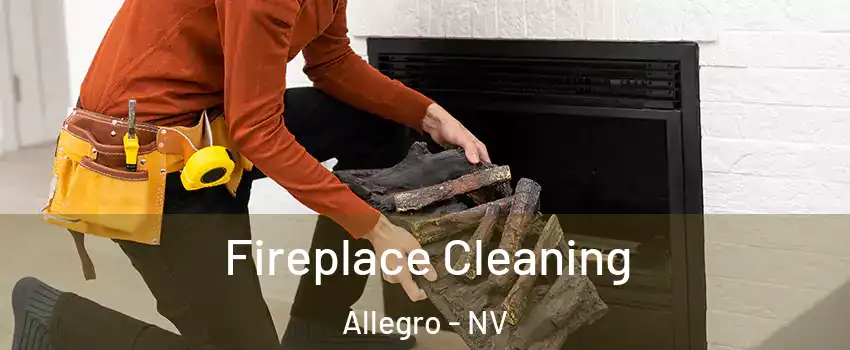 Fireplace Cleaning Allegro - NV