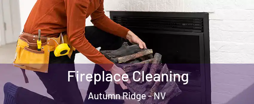 Fireplace Cleaning Autumn Ridge - NV