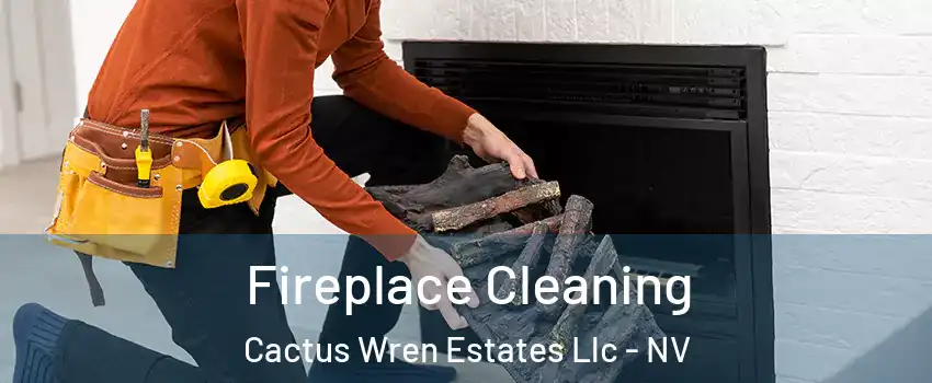 Fireplace Cleaning Cactus Wren Estates Llc - NV