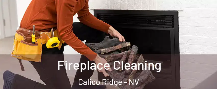 Fireplace Cleaning Calico Ridge - NV