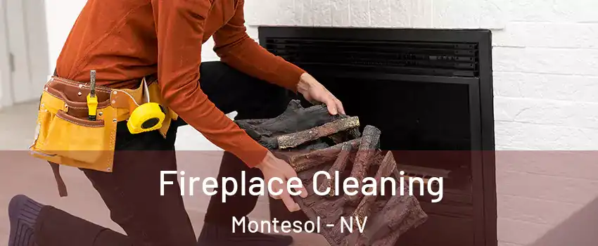 Fireplace Cleaning Montesol - NV