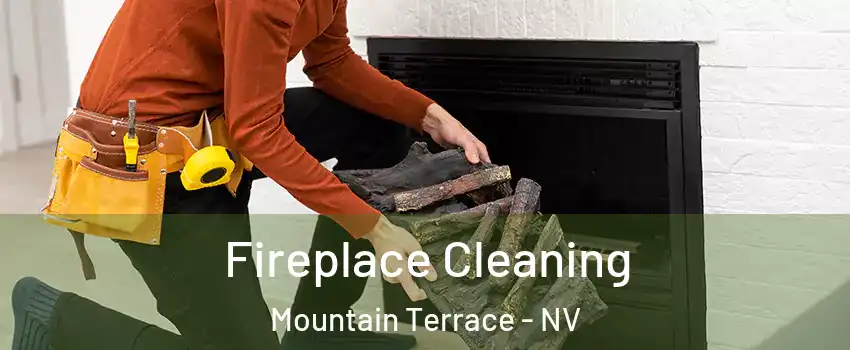 Fireplace Cleaning Mountain Terrace - NV