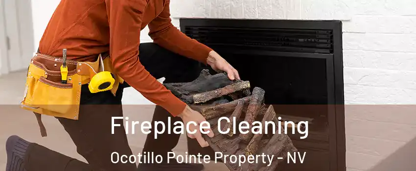 Fireplace Cleaning Ocotillo Pointe Property - NV